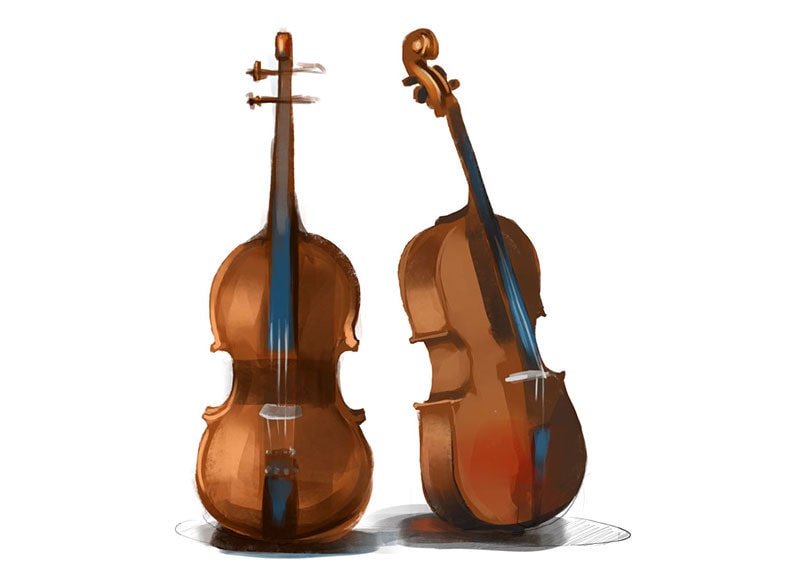 violoncello violoncello