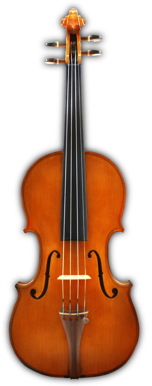 violini artigianali